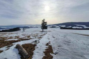 busov gaboltov