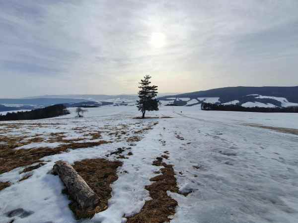 busov gaboltov